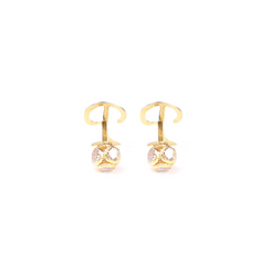 P (1)Letter earring